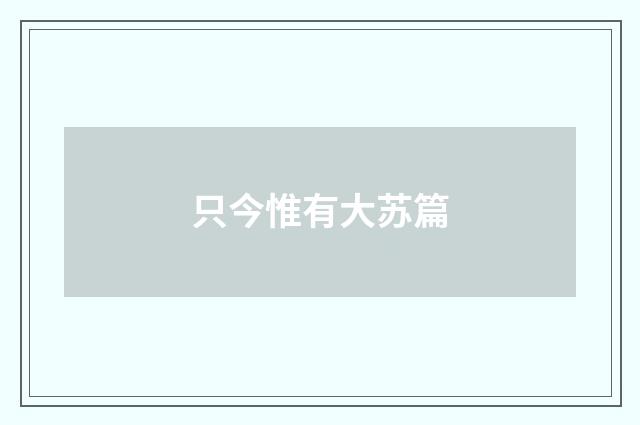只今惟有大苏篇