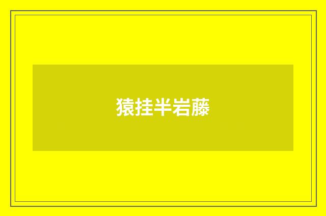 猿挂半岩藤