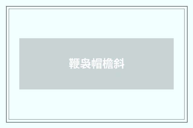 鞭袅帽檐斜