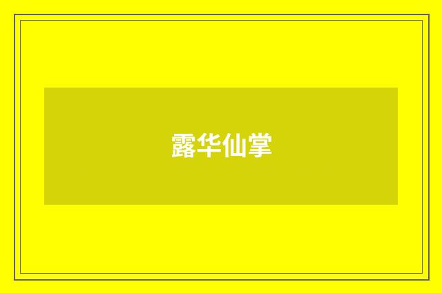 露华仙掌