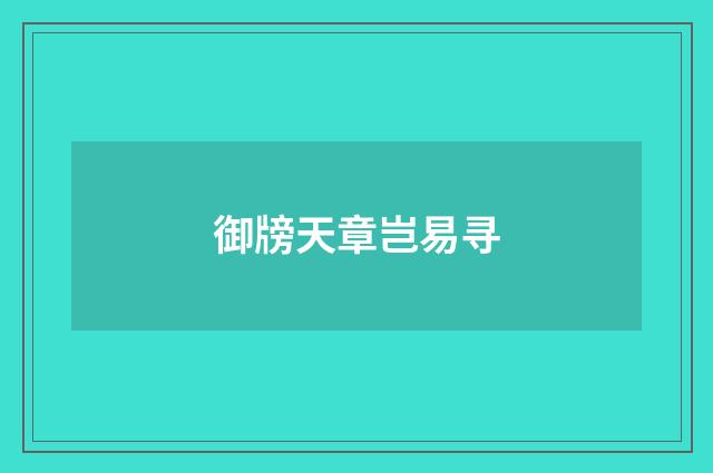 御牓天章岂易寻