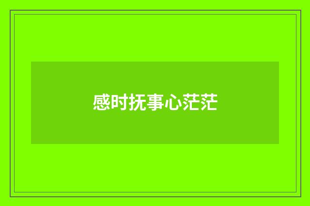 感时抚事心茫茫