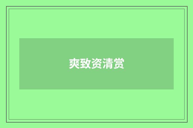 爽致资清赏