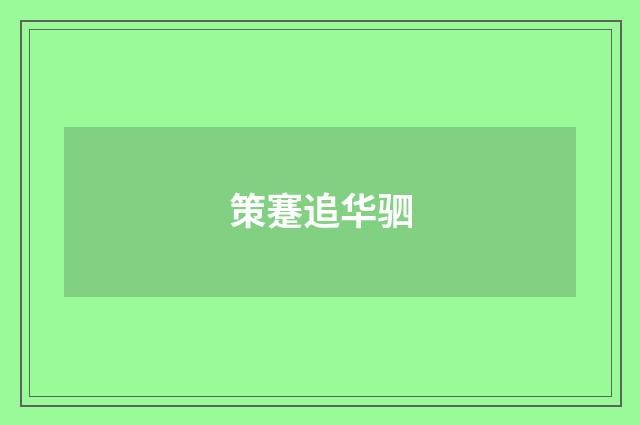 策蹇追华驷