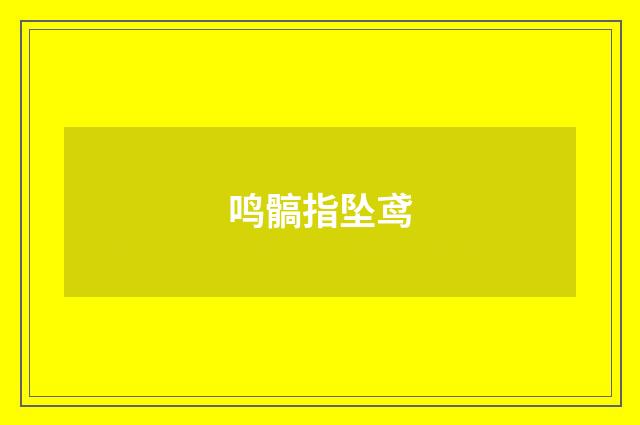 鸣髇指坠鸢
