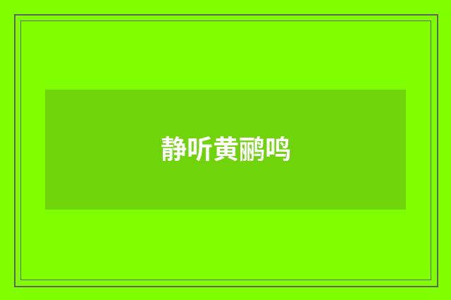 静听黄鹂鸣
