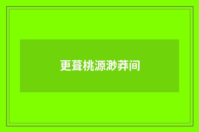 更葺桃源渺莽间