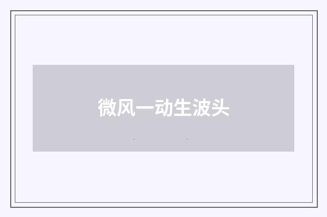 微风一动生波头