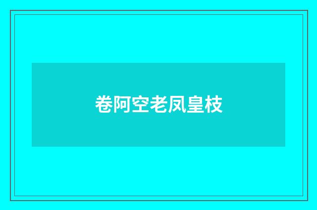卷阿空老凤皇枝