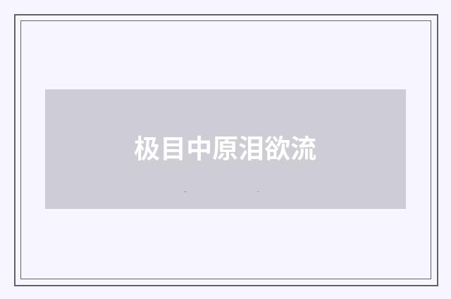极目中原泪欲流