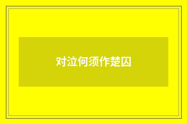 对泣何须作楚囚
