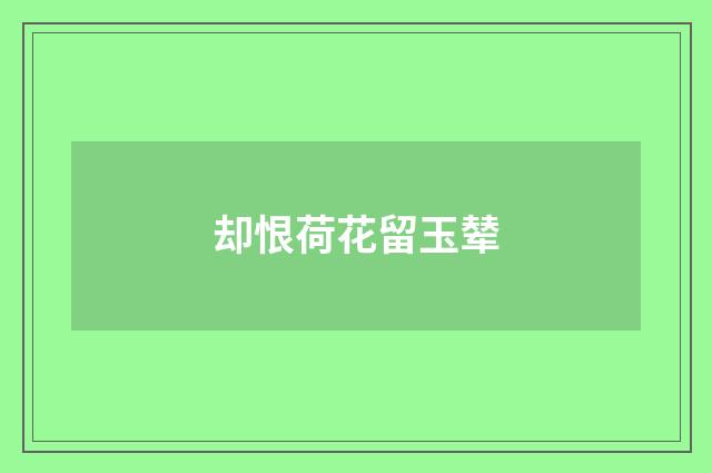却恨荷花留玉辇