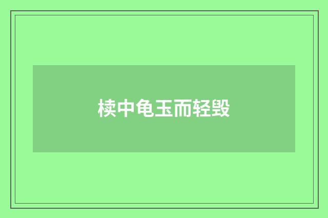 椟中龟玉而轻毁