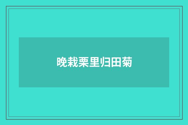 晚栽栗里归田菊