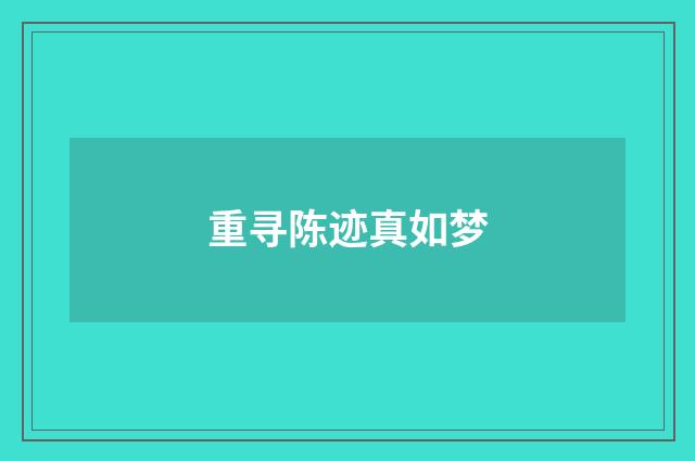 重寻陈迹真如梦