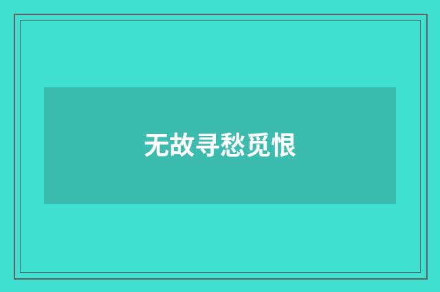 无故寻愁觅恨
