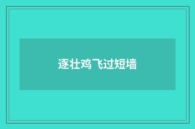 逐壮鸡飞过短墙