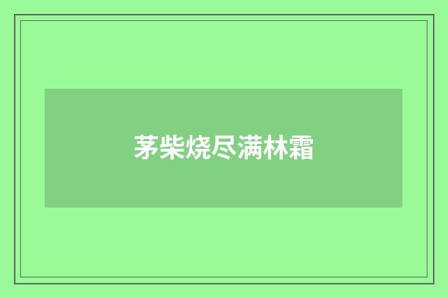 茅柴烧尽满林霜