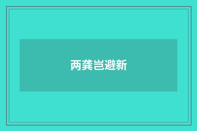 两龚岂避新
