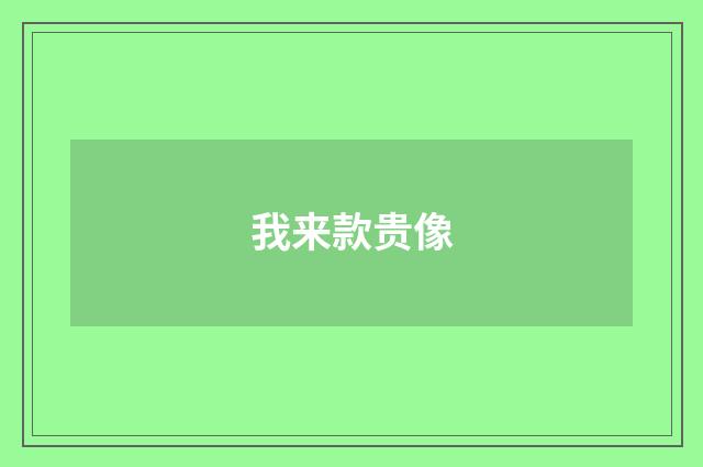 我来款贵像