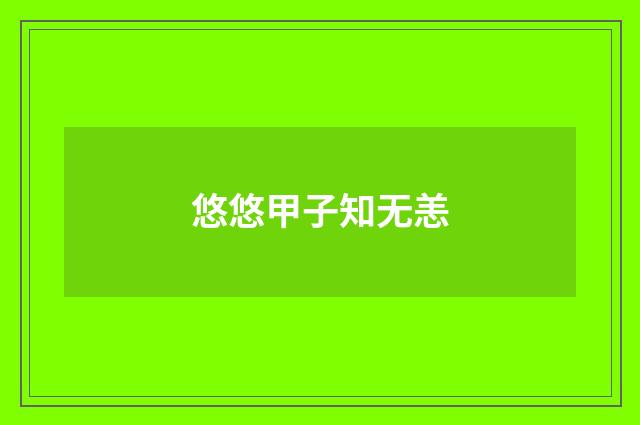 悠悠甲子知无恙