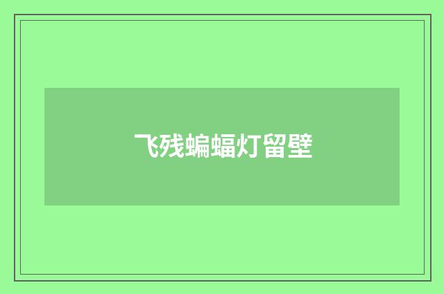 飞残蝙蝠灯留壁