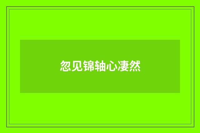 忽见锦轴心凄然