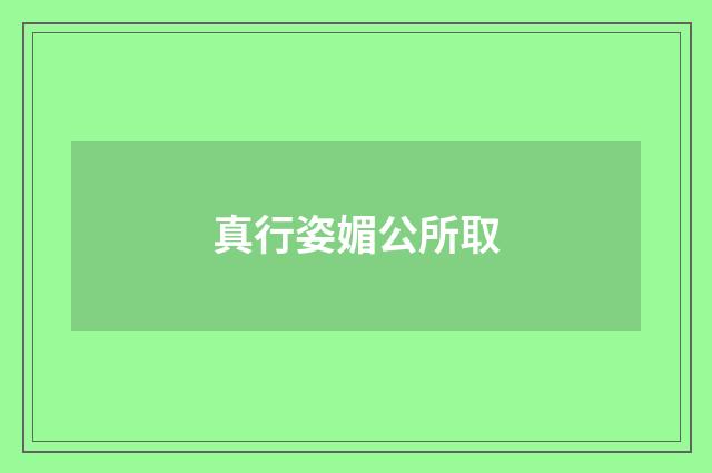 真行姿媚公所取