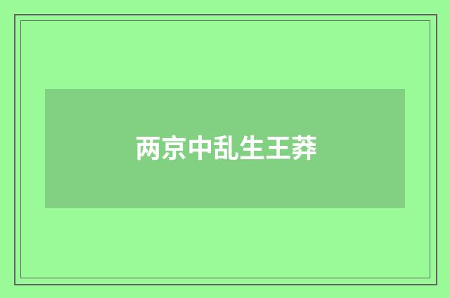 两京中乱生王莽