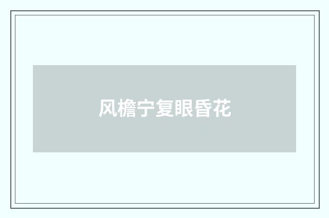 风檐宁复眼昏花