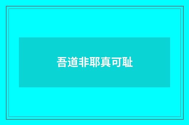 吾道非耶真可耻
