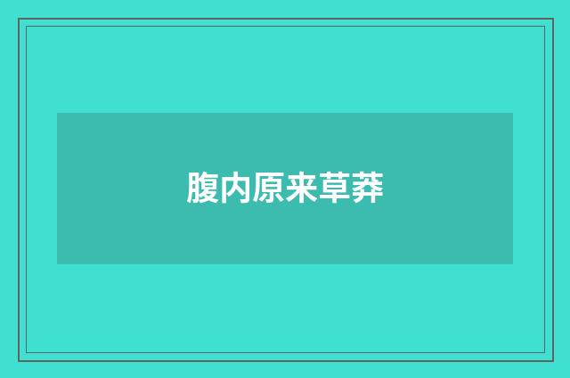 腹内原来草莽