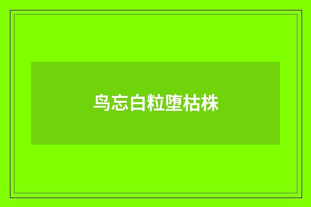 鸟忘白粒堕枯株