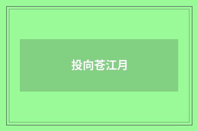 投向苍江月