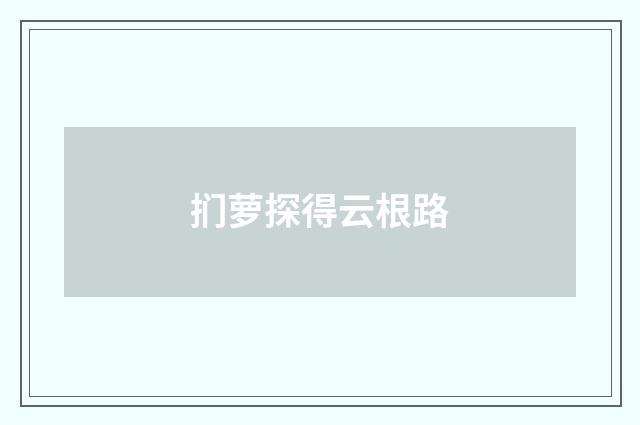 扪萝探得云根路