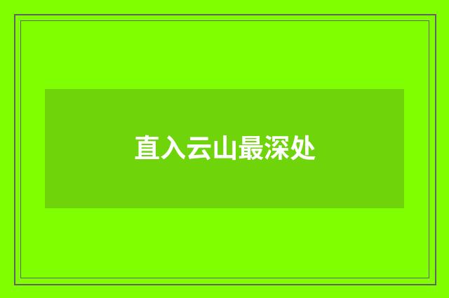 直入云山最深处