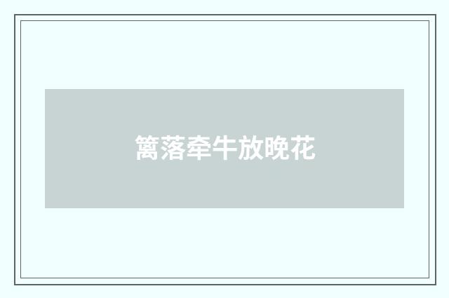 篱落牵牛放晚花