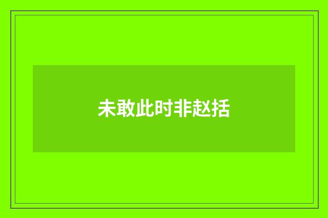 未敢此时非赵括