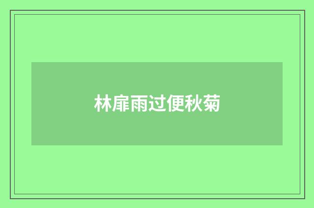 林扉雨过便秋菊