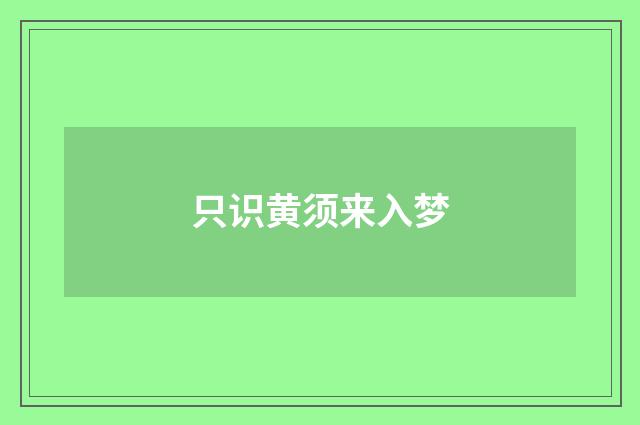 只识黄须来入梦