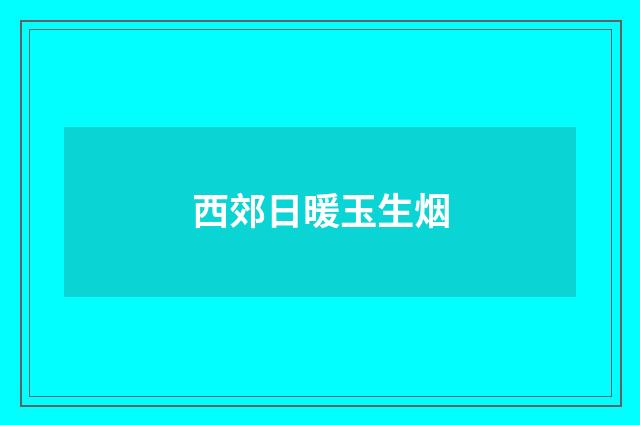 西郊日暖玉生烟