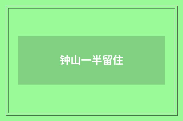 钟山一半留住