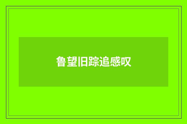 鲁望旧踪追感叹