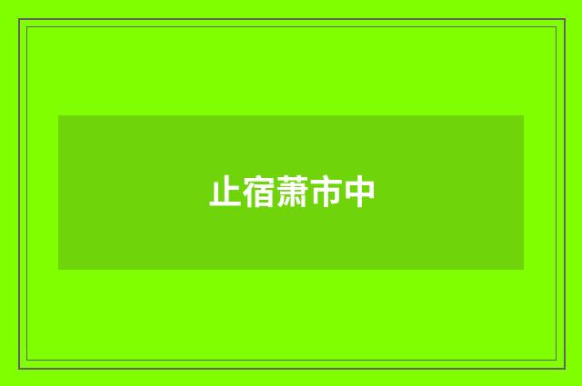 止宿萧市中