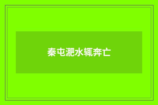 秦屯淝水辄奔亡