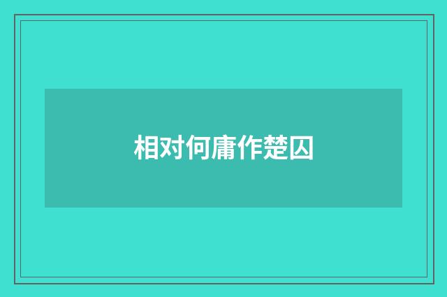 相对何庸作楚囚