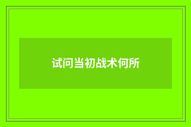 试问当初战术何所