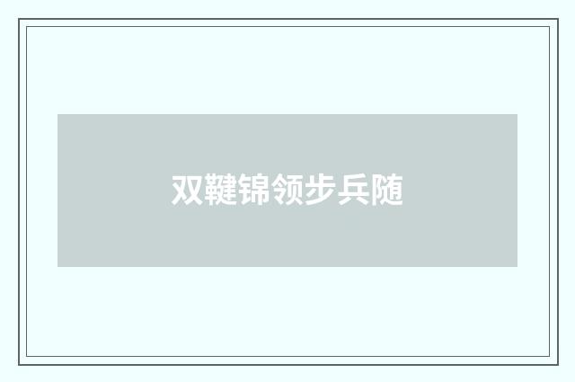 双鞬锦领步兵随