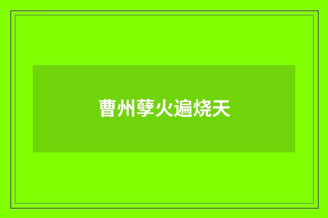 曹州孽火遍烧天