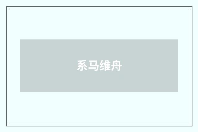 系马维舟